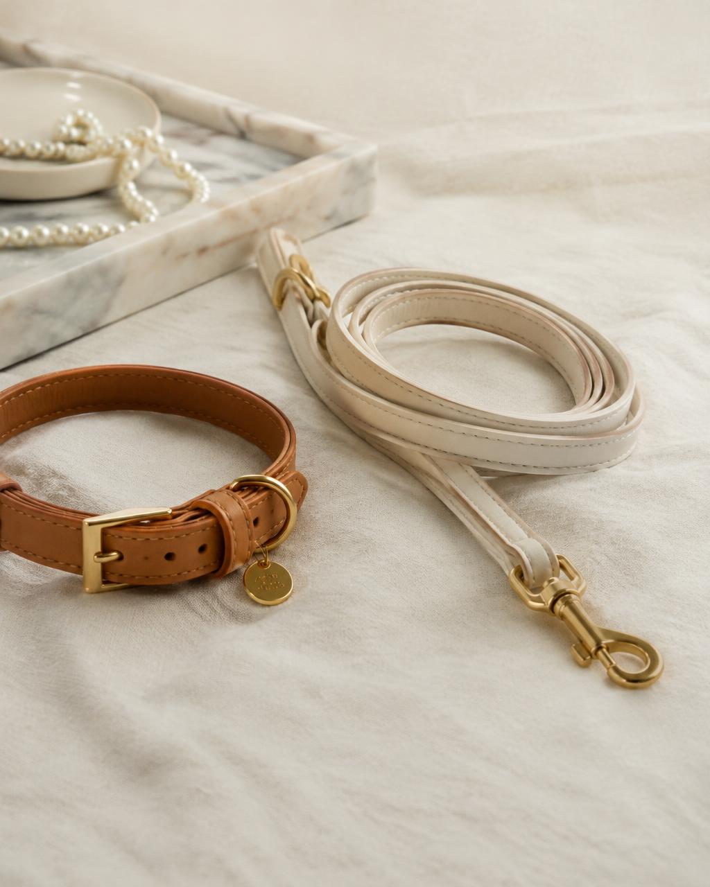 Cream leather leash and caramel collar with gold hardware